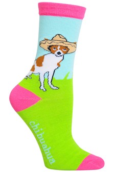 Chihuahua Socks style 2