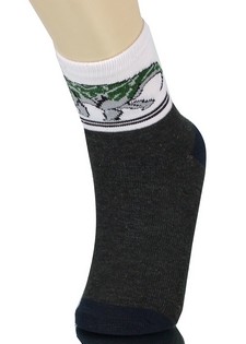 DINOSAURS AND RAPTORS BOYS COMPUTER SOCKS