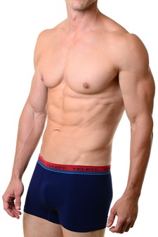 Men's Seamless Brief Boxer Underwear_Nylon style 5